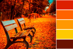 Colores de otoño para decorar